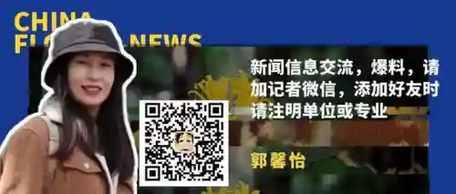 原生花4最强阵容搭配(迪奥娜阵容搭配平民)插图19
