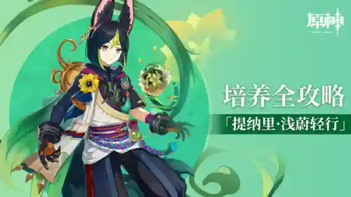 3.1提纳里阵容搭配(提纳里草神配队平民)