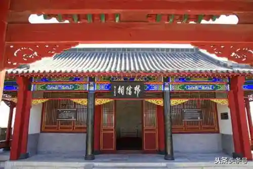 单人混海阵容搭配攻略(深海王阵容平民搭配)插图6