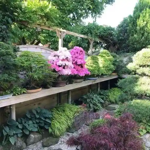 梦幻庭园搭配阵容图片大全(花境植物搭配效果图)插图23