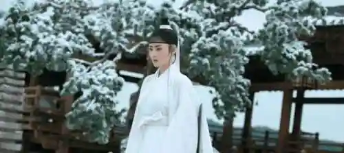 雪中悍刀行2(雪中悍刀行2上映时间已确定)插图18