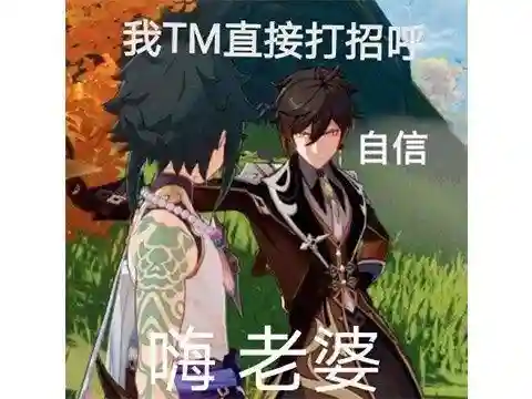 原神一五三四阵容搭配推荐(原神低配阵容)插图13