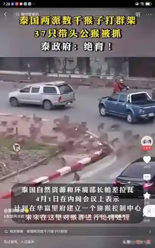 部落冲突猴子阵容搭配攻略(部落冲突最强阵型图片)插图2