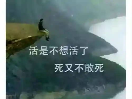 时空穿越者最强阵容搭配(末世王者搭配阵容)插图5