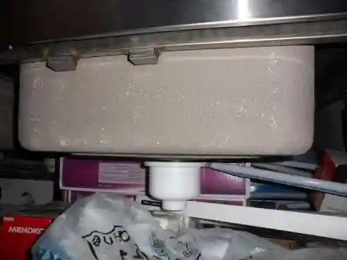 两水两电阵容搭配(闪烁之光水系阵容搭配)插图4