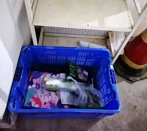 社区团购有哪些平台(自己想搞个社区团购怎么弄)插图6