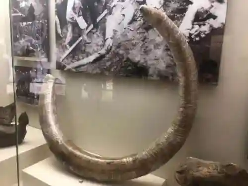 阴阳师二卡阵容搭配(阴阳师平民最佳阵容)插图23