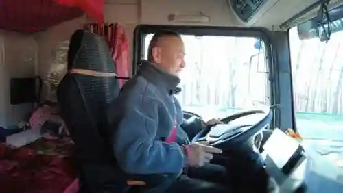 师父连招推荐阵容搭配攻略(放开我师父最强阵容)
