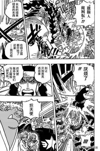 海贼王1072集(海贼王国语版402上集)插图13