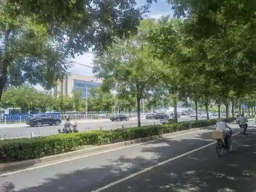 食物语胡同访古阵容搭配(食物语平民推图最强阵容)插图6