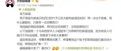熊猫把哪个国家吃穷了(大熊猫其他国家有吗)插图10