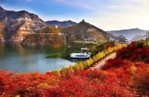 卡房精灵平明阵容怎么搭配(最强平民宝可梦阵容)插图10