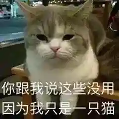网上特别火的那个猫表情包(猫咪摇头表情包动图)插图6 网上特别火的那个猫表情包(猫咪摇头表情包动图)插图6