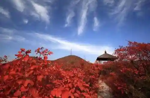 卡房精灵平明阵容怎么搭配(最强平民宝可梦阵容)插图1