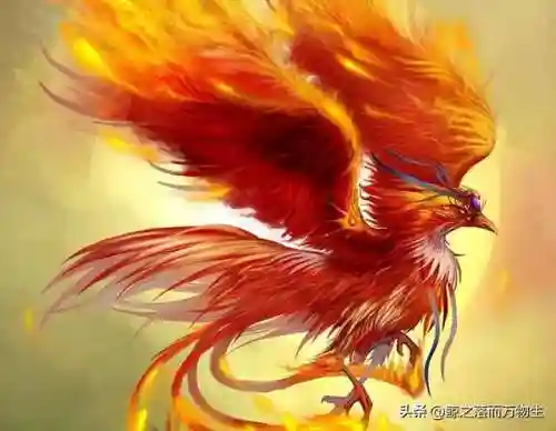 山海经金乌阵容搭配(山海经最强阵容)插图2