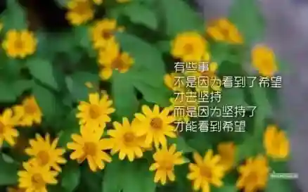 阴阳师破晓之光阵容搭配(阴阳师全sr阵容搭配推荐)插图6