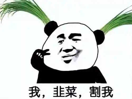 阴阳师月之海阵容怎么搭配(阴阳师平民最佳阵容)插图1