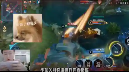 五排老虎阵容搭配图表(云顶之弈最新阵容图表)插图2