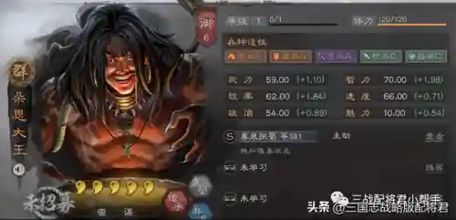 朵思大王阵容搭配加点(热血精灵王最佳阵容)