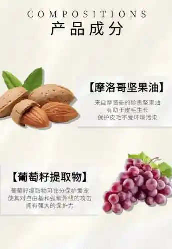 口袋妖怪黑白强力宠物(口袋妖怪黑白前期必抓精灵)插图1