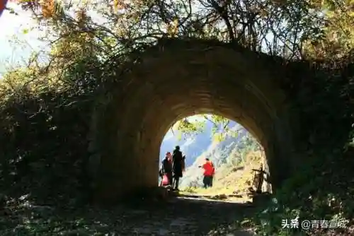 文明与征服宣城阵容搭配(文明与征服平民最强阵容第一名)插图55