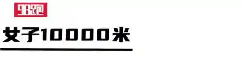 王者之战美国阵容搭配推荐(名将令王者之战阵容十10)插图11
