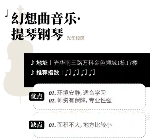 十大最难学的乐器(什么乐器可以参加艺考)插图10