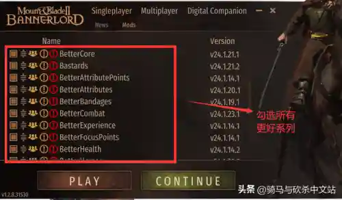 骑马与砍杀新阵容搭配(骑马与砍杀战团伙伴最佳搭配)插图19