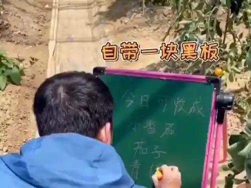 摩尔庄园杰克南瓜酥(摩尔庄园电脑版怎么获得南瓜)
