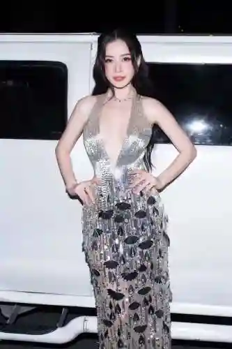 闪耀之夜阵容搭配攻略最新(闪烁之光最强阵容搭配)插图1
