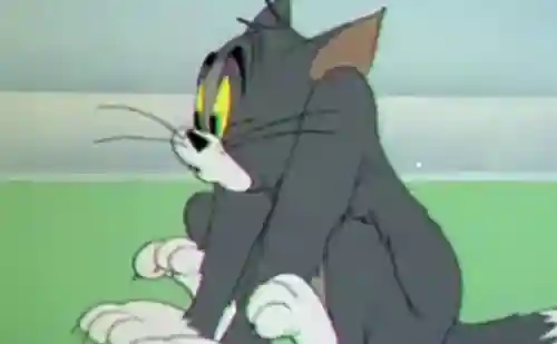 我的汤姆猫老版本(我的汤姆猫原版免费下载)插图1