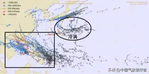 最新台风消息今天(20247月台风最新消息)插图9