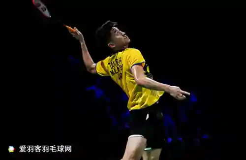 羽坛最猛进攻阵容搭配(武道大会防守最强阵容)插图2