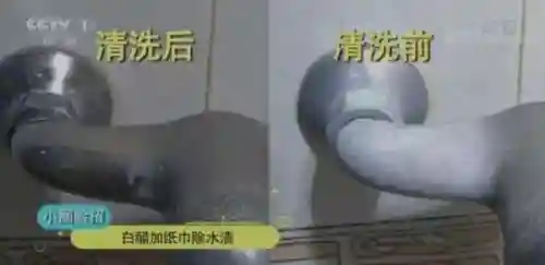 人体水龙头是什么服务(水龙头上门安装服务)插图7