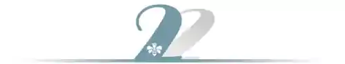 银魂爬塔阵容搭配(雷法爬塔技能搭配)插图4