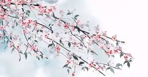 凤吟输出阵容怎么搭配(原神 风主阵容搭配)