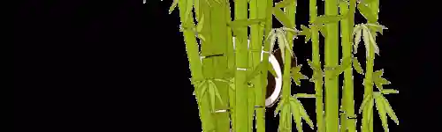 八条腿的蜘蛛女(最美女蜘蛛)