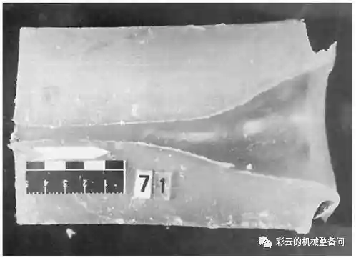 神物45开阵容搭配图片(藏武最强阵容搭配攻略)插图4