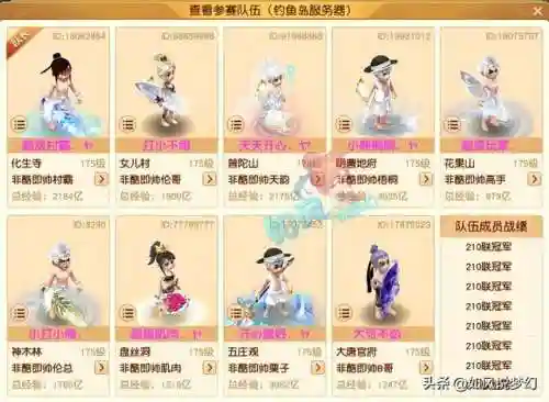 梦幻西游战神阵容搭配图(梦幻西游最强伙伴阵容)插图5