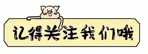 甄嬛战队 阵容搭配表最新(甄嬛传手游最强阵容)插图8