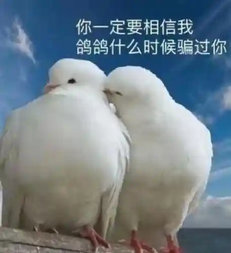 万国觉醒乌龟阵容搭配(万国觉醒适合平民的四大最强阵容)插图1