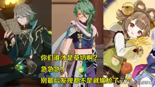 原神早柚琴阵容搭配(原神琴平民队伍配置推荐)插图6