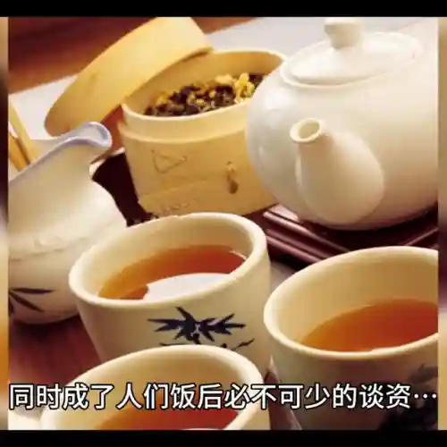 死亡笔记戒指推荐阵容搭配(圣树之光阵容搭配攻略)
