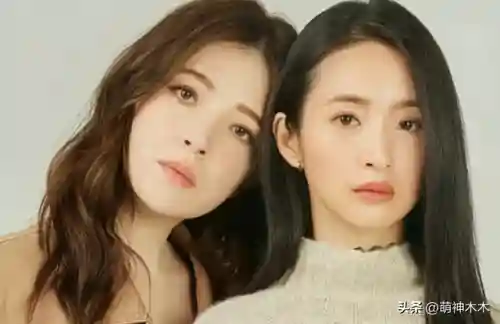 爆雷搭配什么阵容最强(霸王雄心高爆版最强阵容)插图2