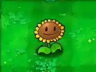 植物大战僵尸最老经典版(最老版植物大战僵尸)插图38