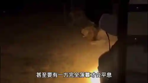 怒火咆哮阵容搭配推荐图(天怒最佳的搭配阵容是什么)