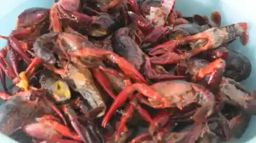 龙虾怎么做好吃又简单(大龙虾的最简单做法)