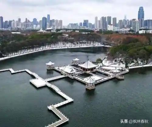 天斗大雪阵容搭配攻略(海边小斗大雪好看视频)