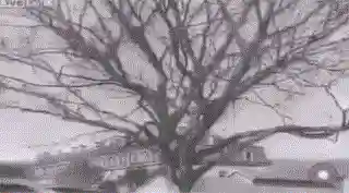 二战十大诡异坦克(二战装甲最厚的重坦)插图11
