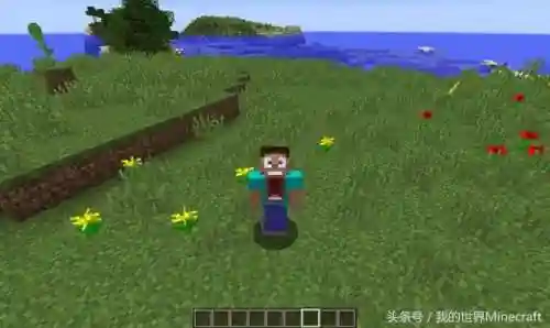 我的世界皮肤大全(minecraft皮肤站)插图4